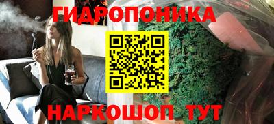 прущие грибы Новокубанск