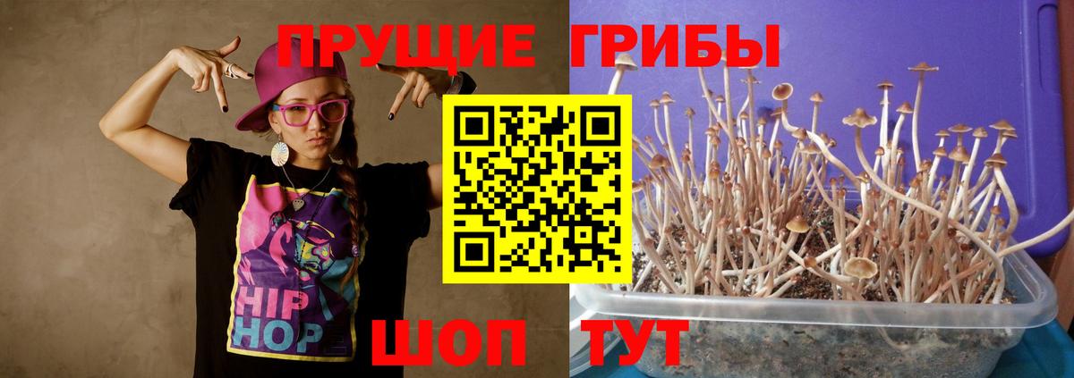 Туапсе  Псилоцибиновые грибы Magic Shrooms  Вход с VPN 